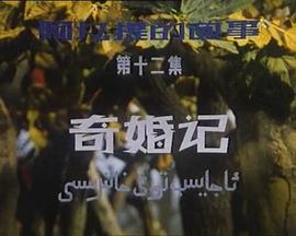 阿凡提的故事之奇婚记