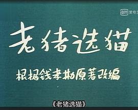 老猪选猫